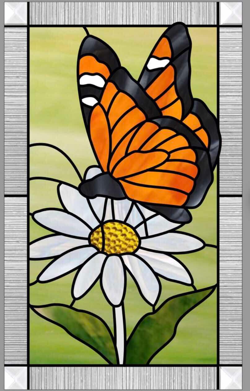 butterfly