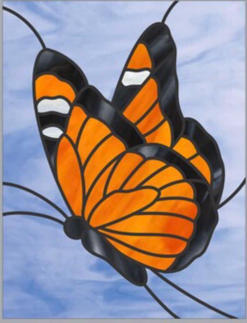 Butterfly 