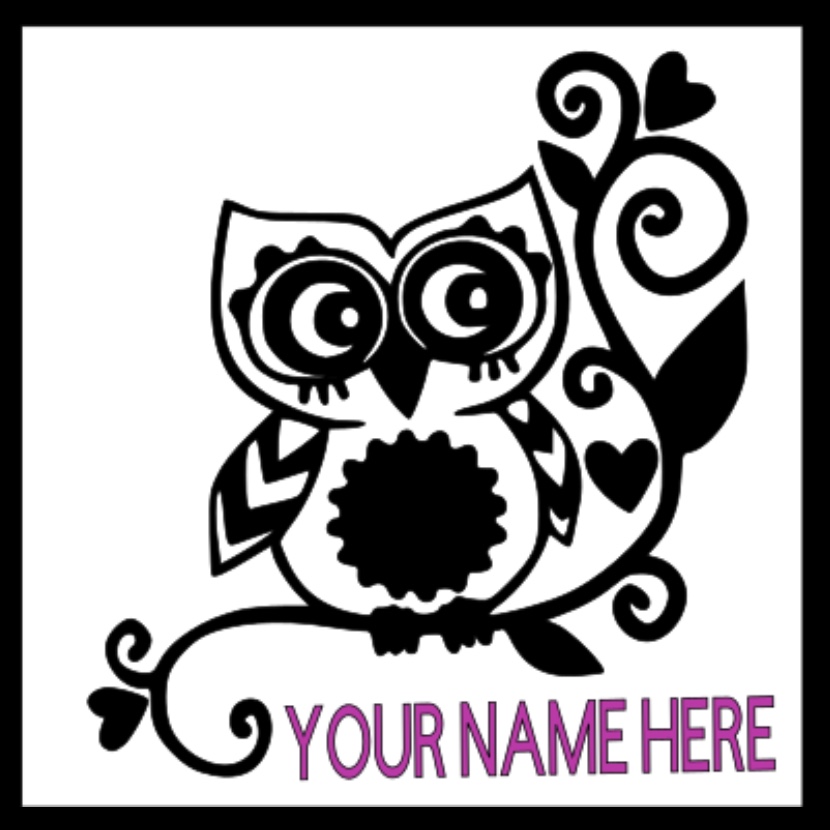 Owl name 